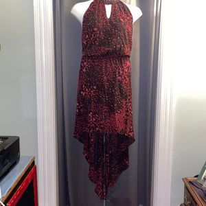 Lily Star 3x High Low hem dress